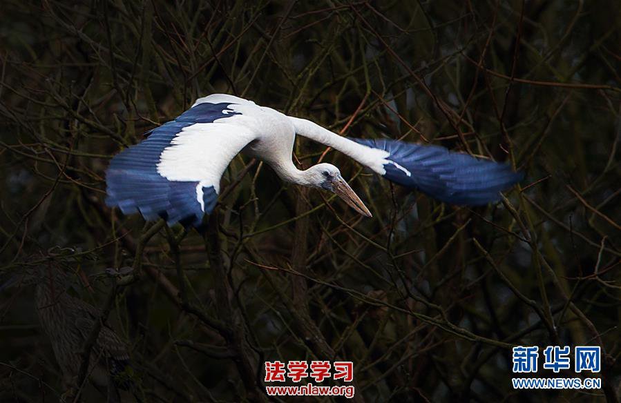 ۶ϡǯ