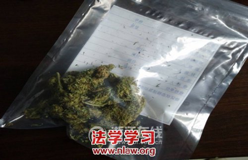 ƻ羳ץ23 ƷʮУ