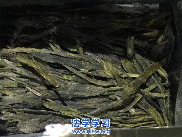 泱Ʒ_캣泱