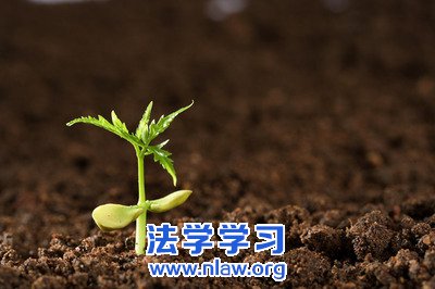 泱ô縺ζ룡_캣泱