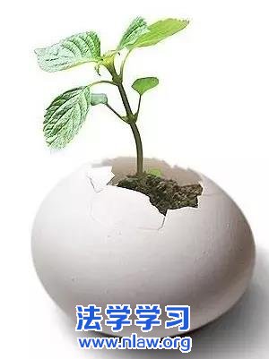 ſ֮ȨὨ_