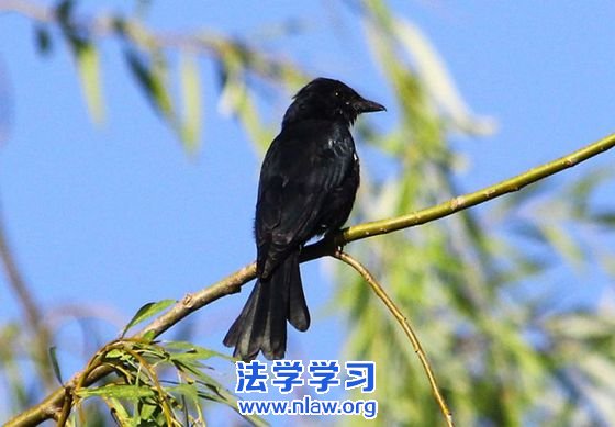 裺Χ_÷