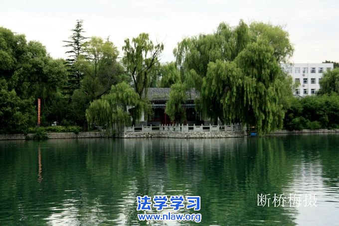 文思如泉在龙湾_断桥梅
