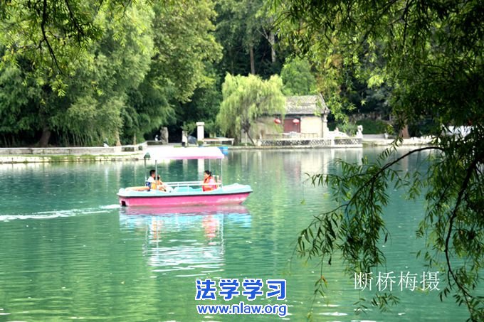 文思如泉在龙湾_断桥梅