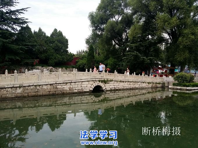 文思如泉在龙湾_断桥梅